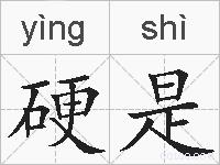 硬是的拼音