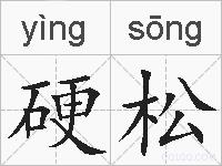 硬松的拼音
