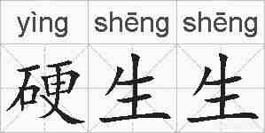 硬生生的拼音