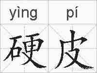 硬皮的拼音