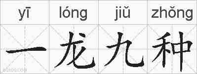 一龙九种的拼音