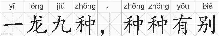 一龙九种,种种有别的拼音