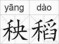 秧稻的拼音