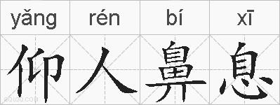 仰人鼻息的拼音