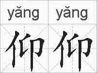仰仰的拼音