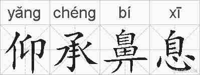 仰承鼻息的拼音
