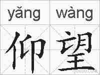 仰望的拼音