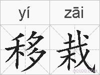 移栽的拼音