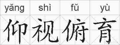 仰视俯育的拼音