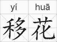 移花的拼音