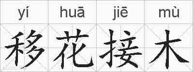 移花接木的拼音