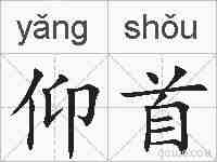 仰首的拼音