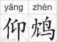 仰鸩的拼音