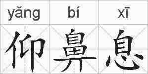 仰鼻息的拼音
