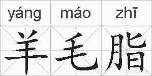 羊毛脂的拼音
