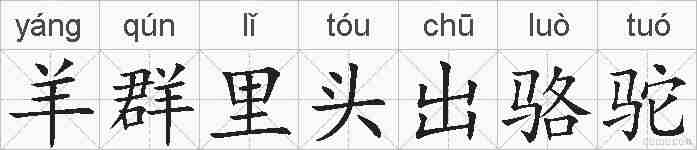 羊群里头出骆驼的拼音