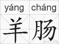 羊肠的拼音