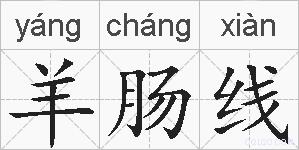 羊肠线的拼音