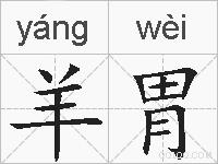 羊胃的拼音