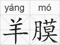 羊膜的拼音