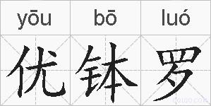 优钵罗的拼音