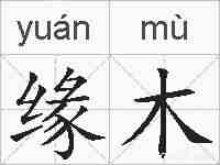 缘木的拼音