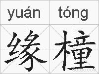 缘橦的拼音