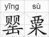罂粟的拼音