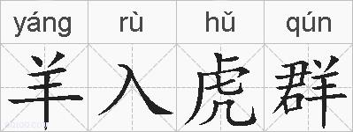 羊入虎群的拼音