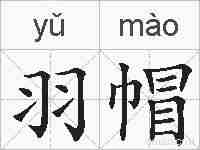羽帽的拼音