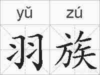 羽族的拼音