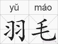 羽毛的拼音