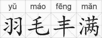 羽毛丰满的拼音