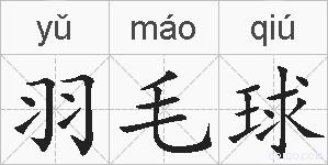 羽毛球的拼音