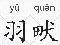 羽畎的拼音