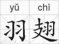 羽翅的拼音