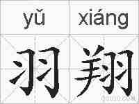 羽翔的拼音