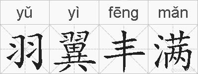 羽翼丰满的拼音