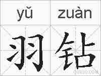 羽钻的拼音