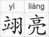 翊亮的拼音