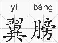翼膀的拼音