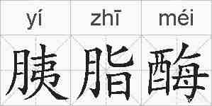 胰脂酶的拼音