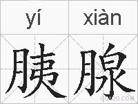胰腺的拼音