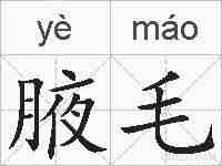 腋毛的拼音