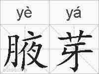 腋芽的拼音