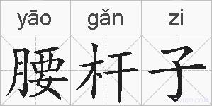 腰杆子的拼音