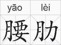 腰肋的拼音