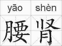腰肾的拼音