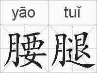 腰腿的拼音