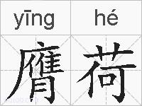 膺荷的拼音